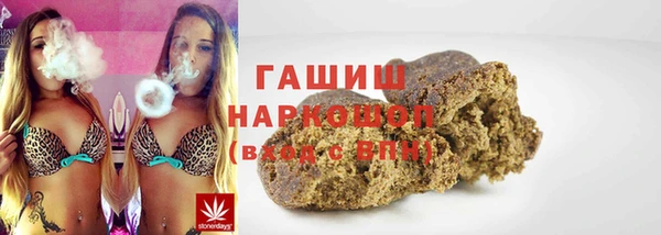 крисы Надым