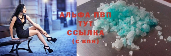 крисы Надым