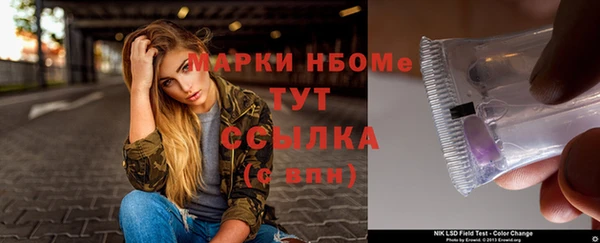 крисы Надым