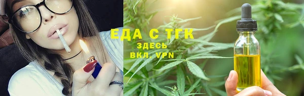 крисы Надым