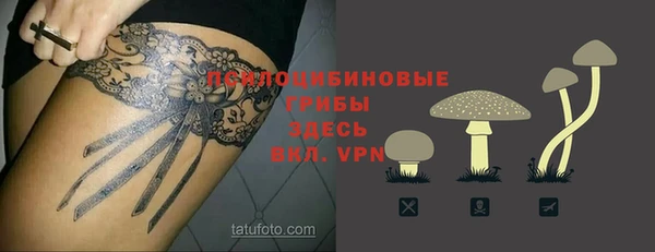 крисы Надым