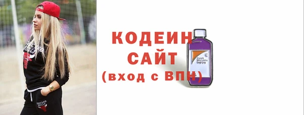крисы Надым