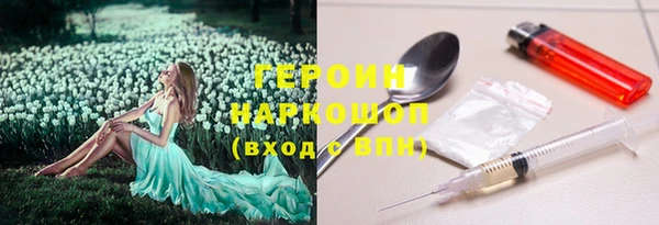 крисы Надым