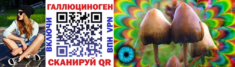 OMG зеркало  Кораблино  Галлюциногенные грибы MAGIC MUSHROOMS 